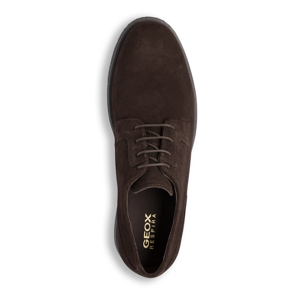 Stringate eleganti marroni derby da uomo in pelle scamosciata Geox