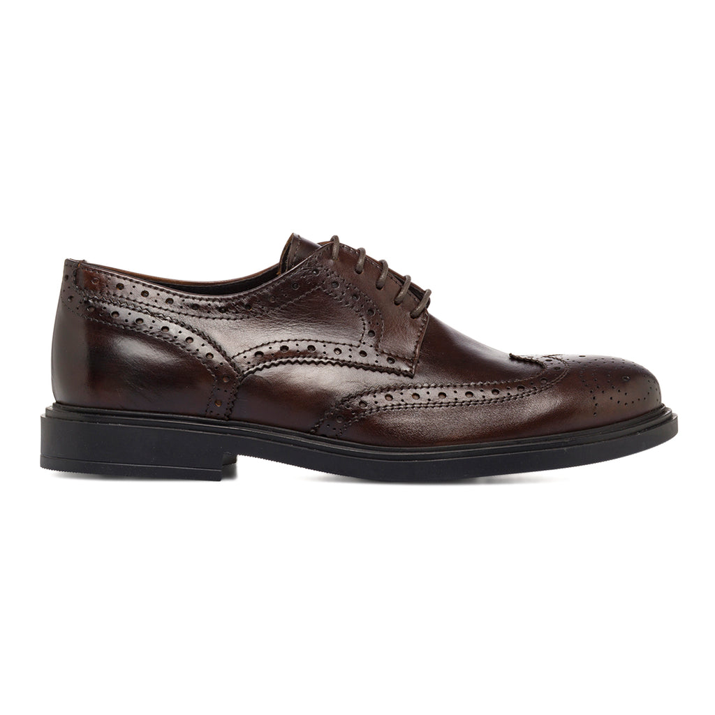 Stringate Derby marroni da Uomo in Pelle con inserti Brogue Primopiano