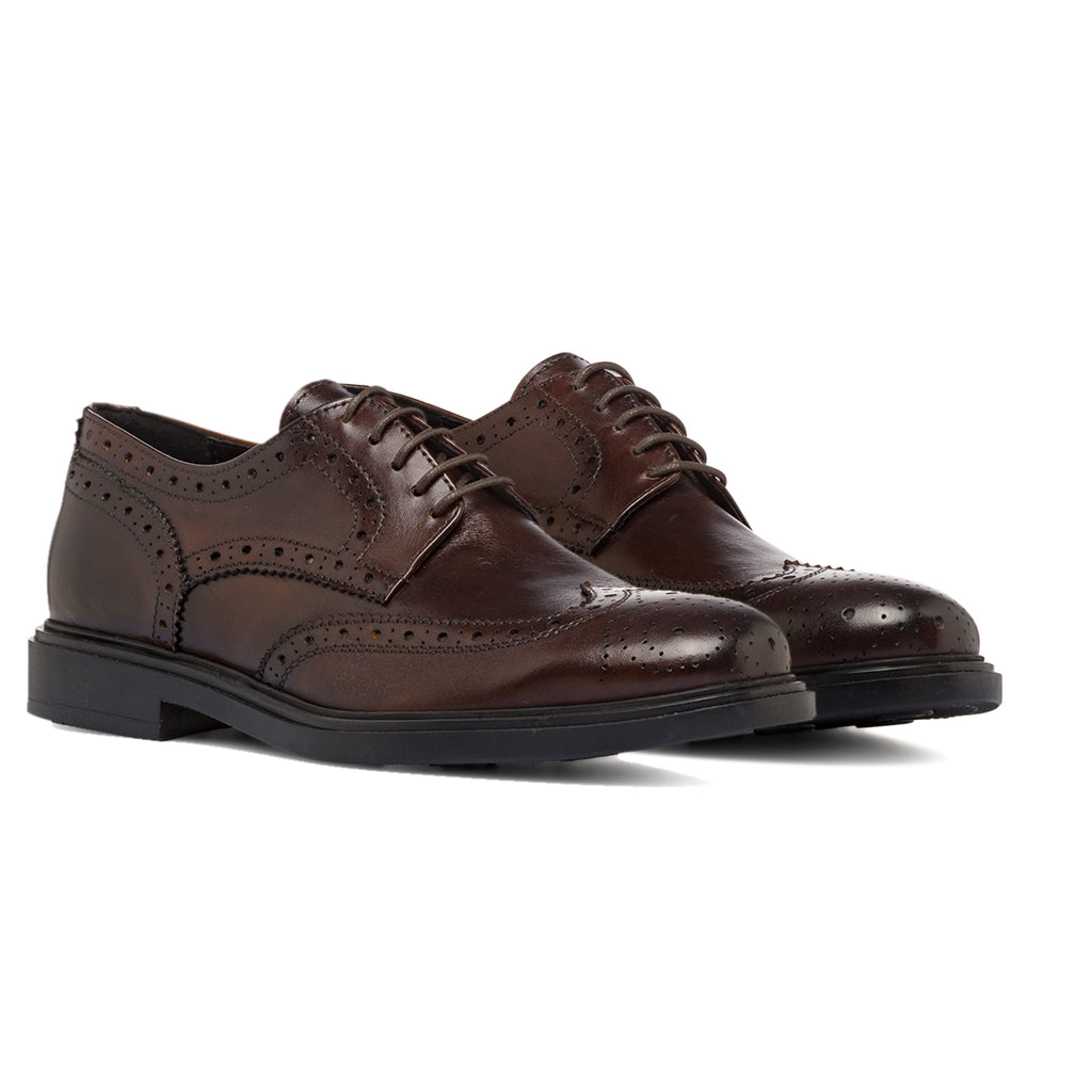 Stringate Derby marroni da Uomo in Pelle con inserti Brogue Primopiano
