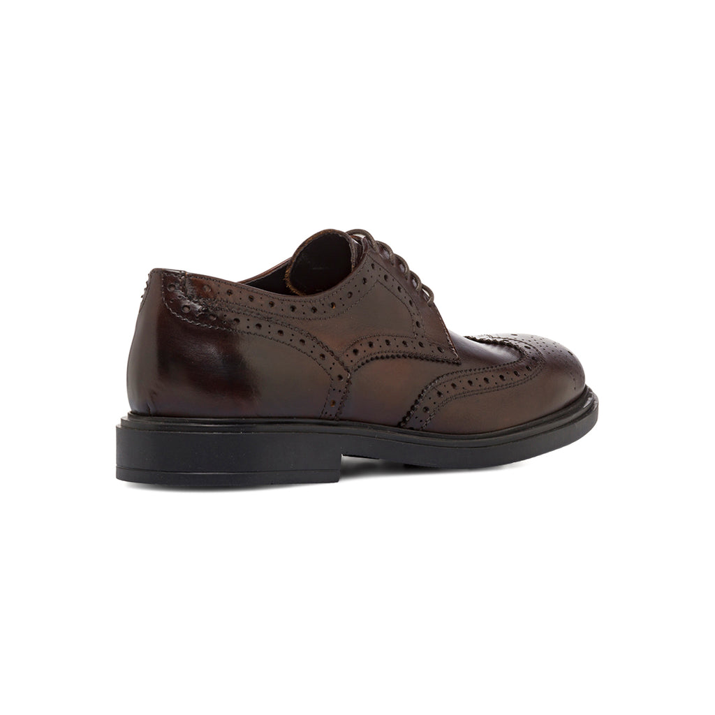 Stringate Derby marroni da Uomo in Pelle con inserti Brogue Primopiano