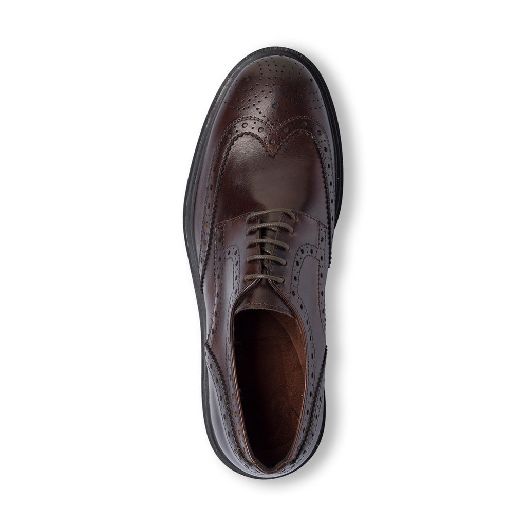 Stringate Derby marroni da Uomo in Pelle con inserti Brogue Primopiano