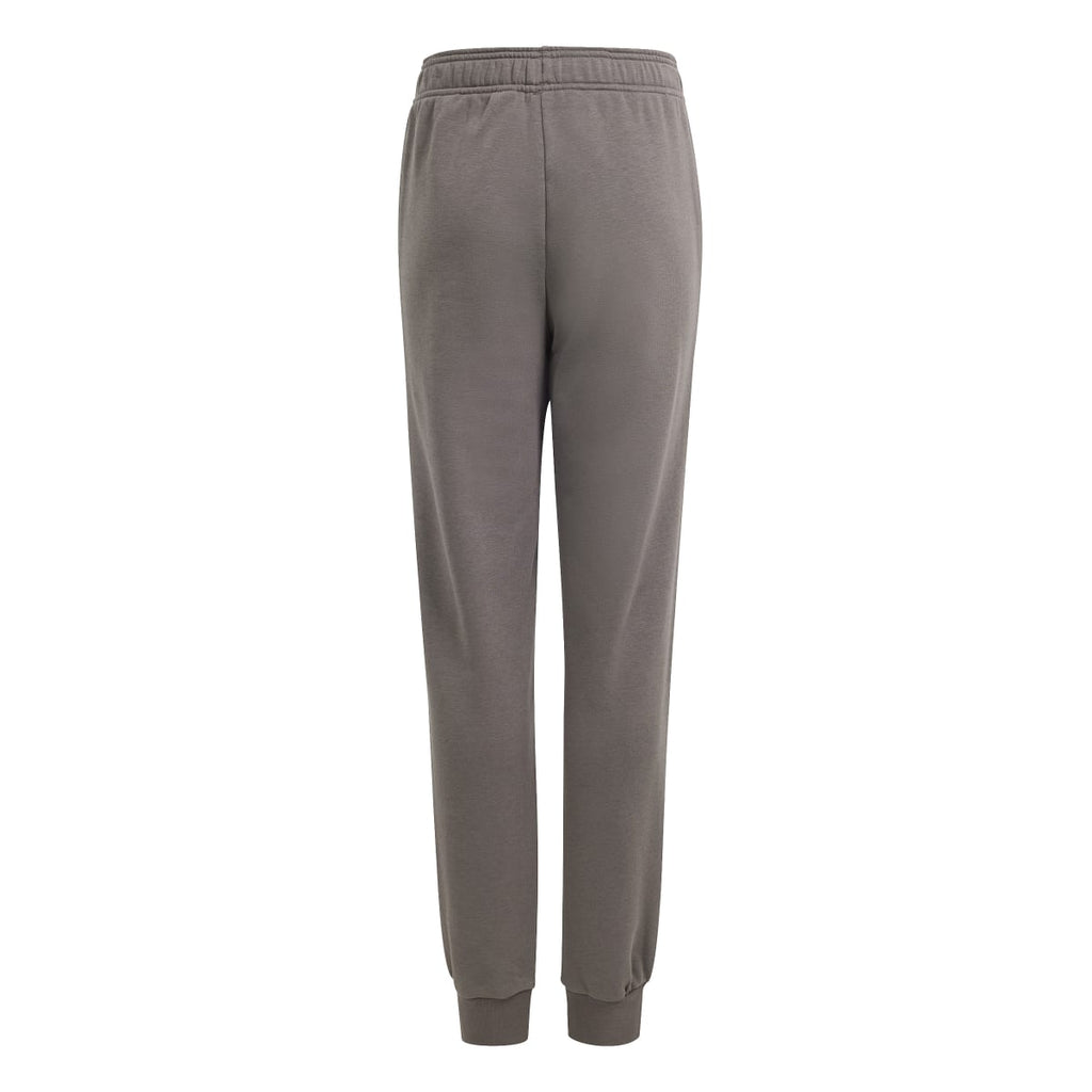 Pantaloni joggers grigi da bambino adidas Essentials Regular Fit Big Logo