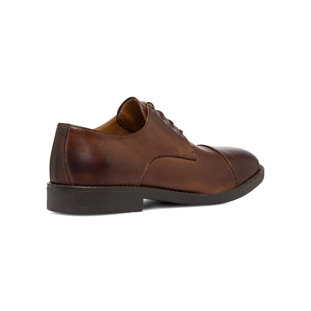 Stringate derby marroni in pelle da uomo Primopiano